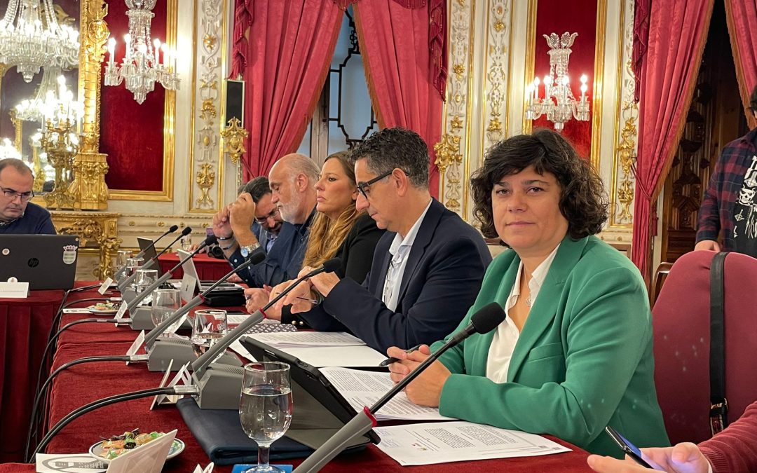 IU exige al alcalde que diga la inversión que se perdió del PROFEA de 2022