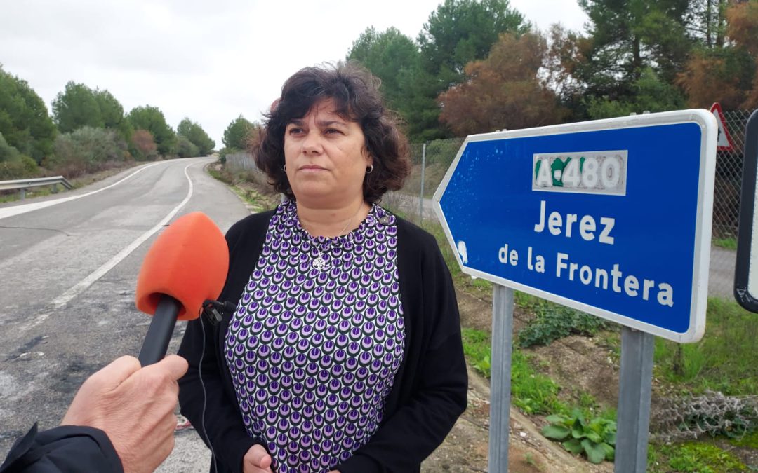 Carmen Álvarez celebra que, gracias a la presión de IU, se lleven a cabo las obras de la A-480