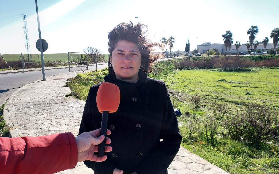 IU pedirá en el pleno el arreglo de la carretera de Trebujena