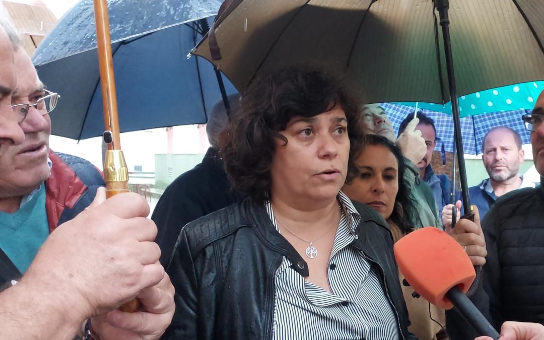 IU reclama que se declare Zona Catastrófica a Sanlúcar por el fuerte temporal, que ha afectado a invernaderos y plantaciones
