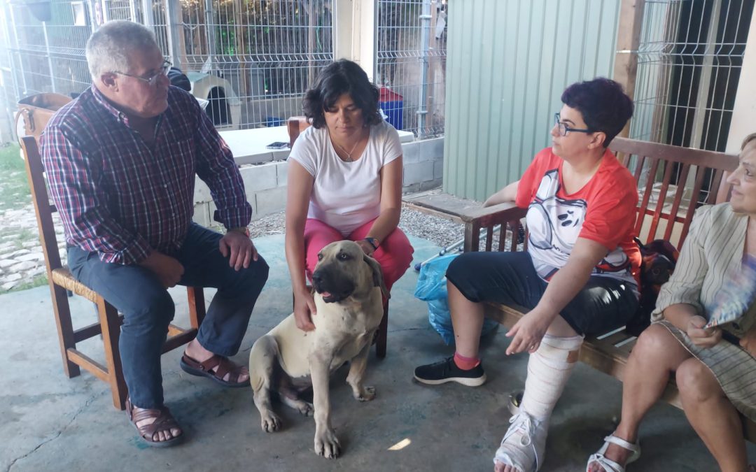 IU acotará una zona en la playa para mascotas
