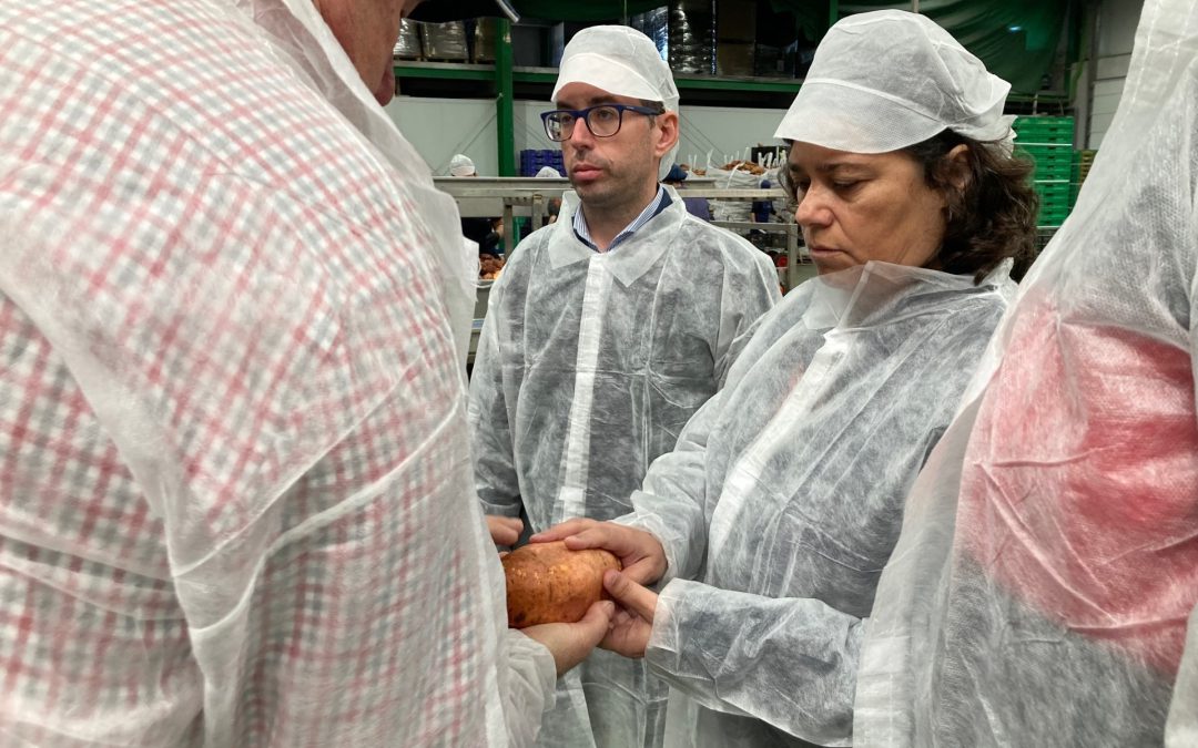 IU Sanlúcar pide a las distintas administraciones medidas concretas para la protección del sector agrario